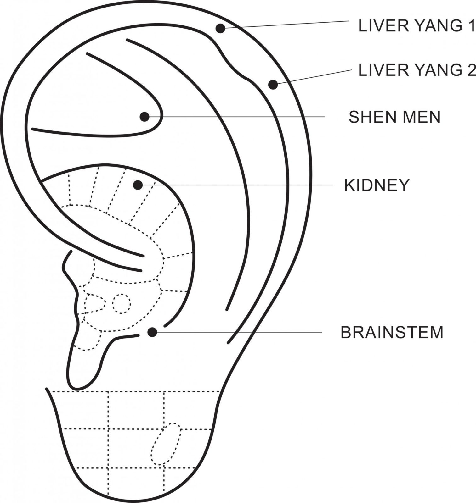 Acupuncture Points for Anxiety in Montpelier, Vermont