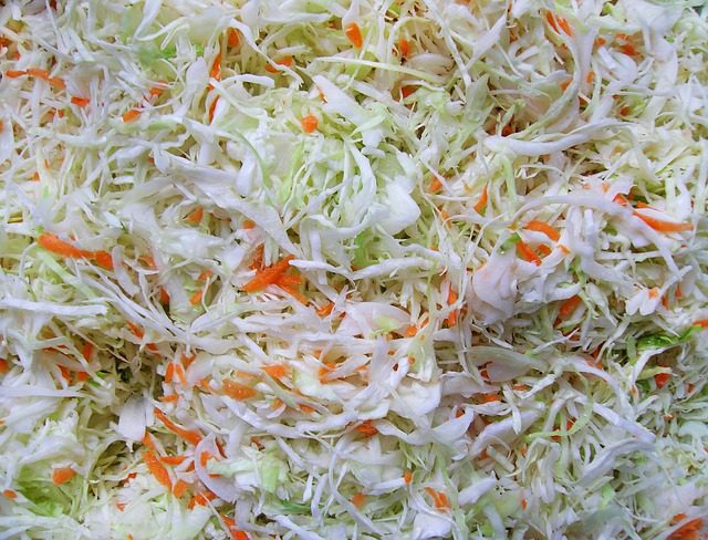fermented foods