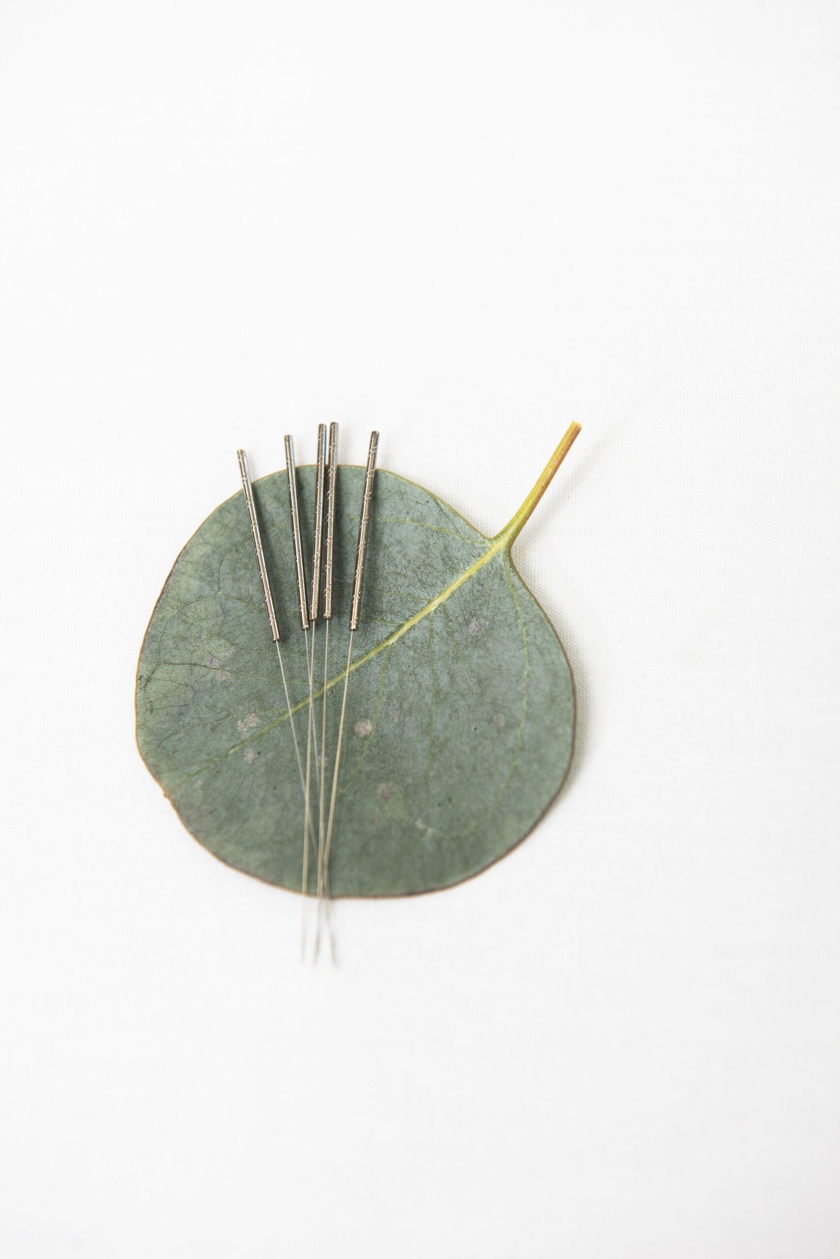 acupuncture needles