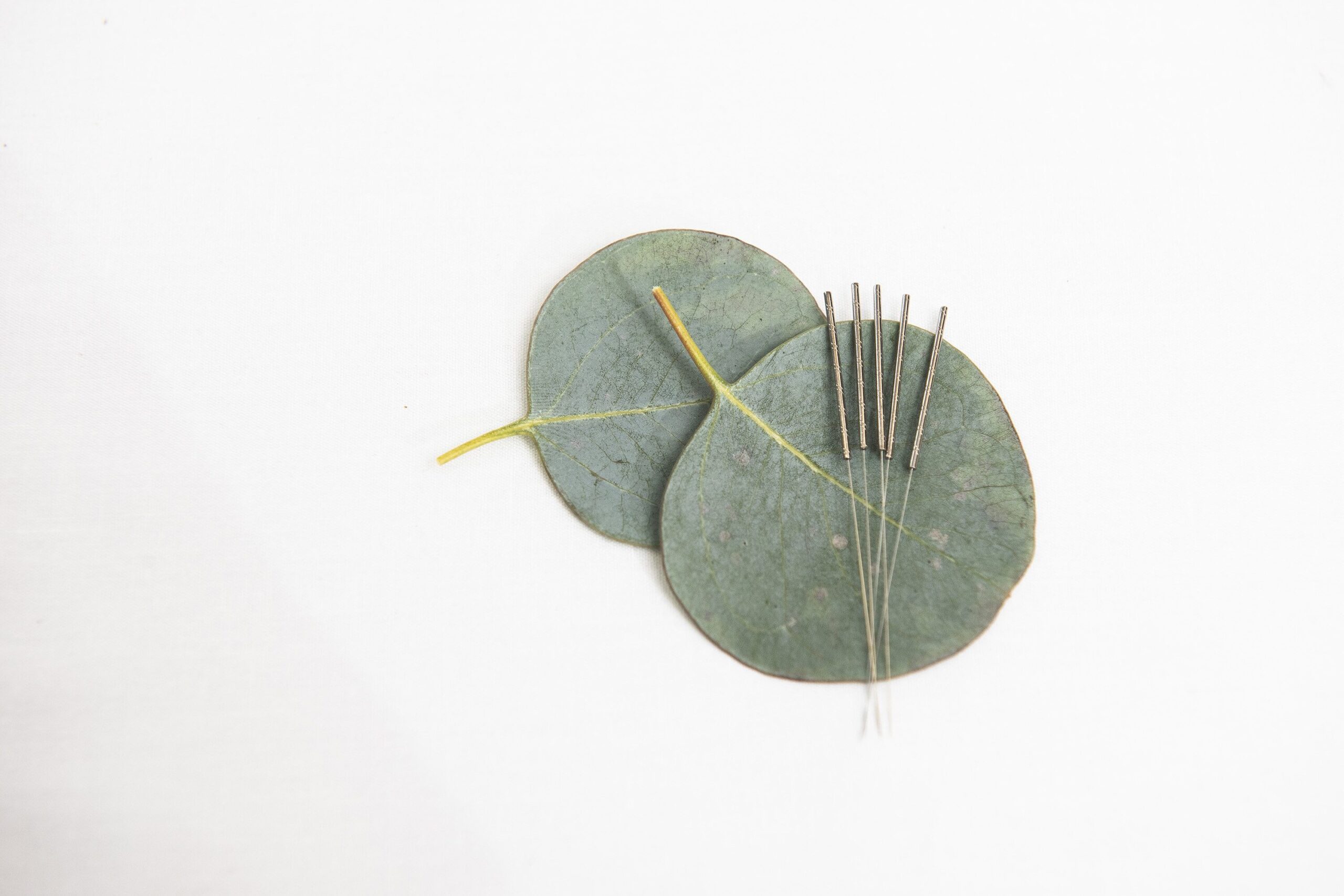 acupuncture needles