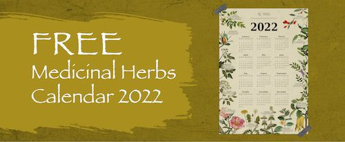 acupunctureinvermont - 2022 Healing Herbs Calendar