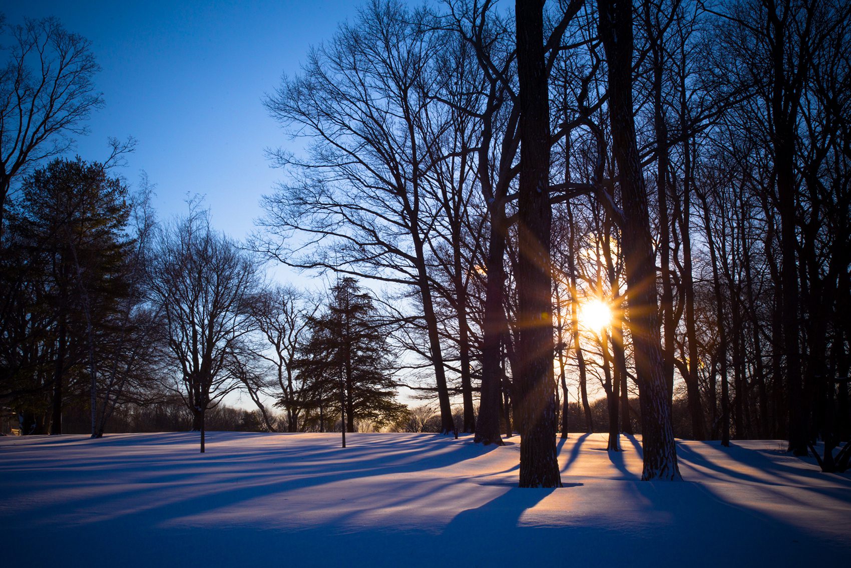 Winter Solstice and Inner Stillness in Chinese Medicine