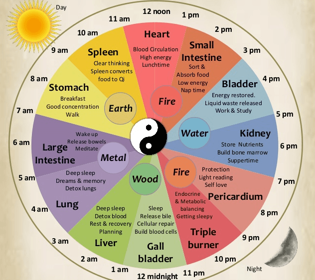 24_hour_chinese_body_clock Integrative Acupuncture