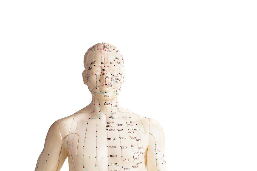 Acupuncture Model