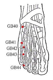 Gall Bladder Foot Points