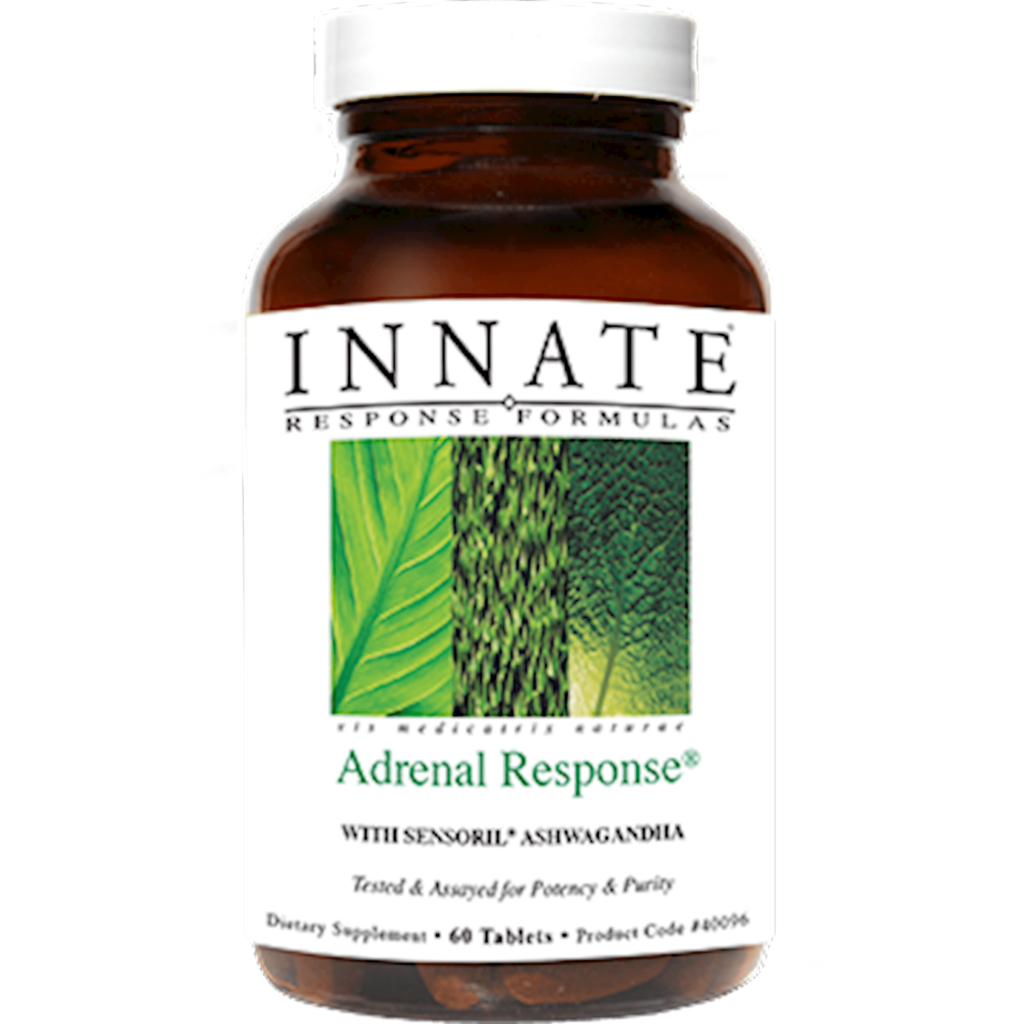Adrenal Response Non Glandular
