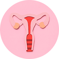 Menstrual support