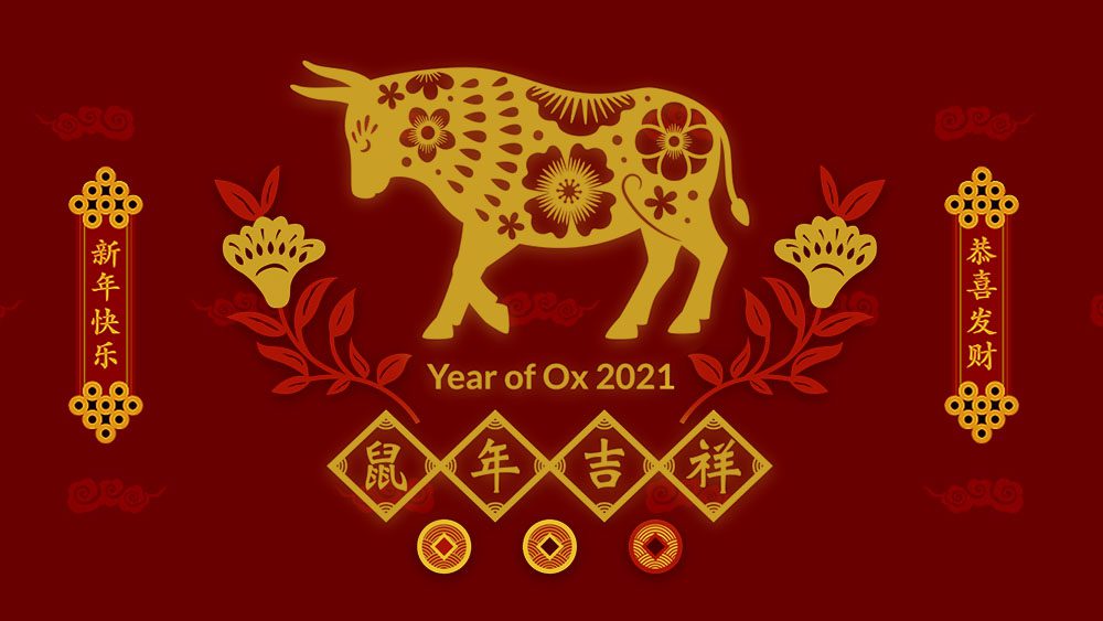Year of the ox 2021. Drawing of gold ox with red background