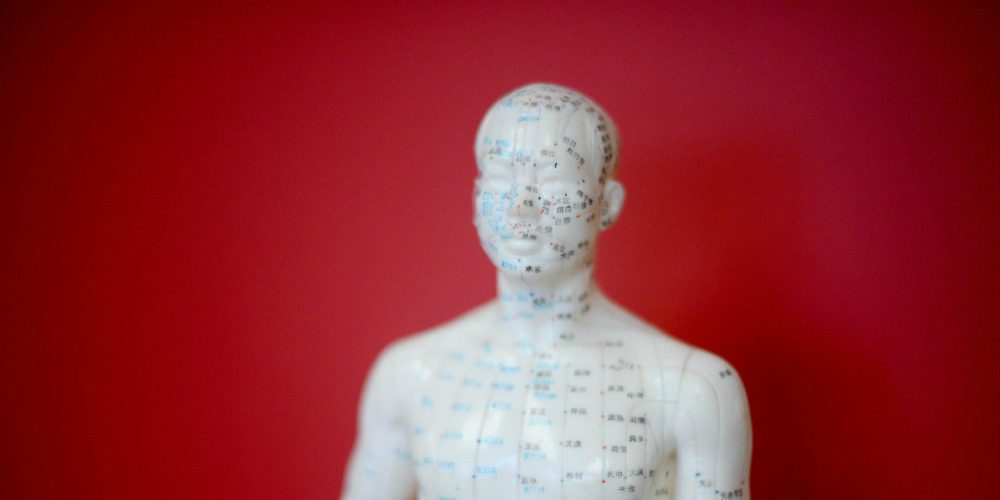 acupuncture and herbal medicine classes