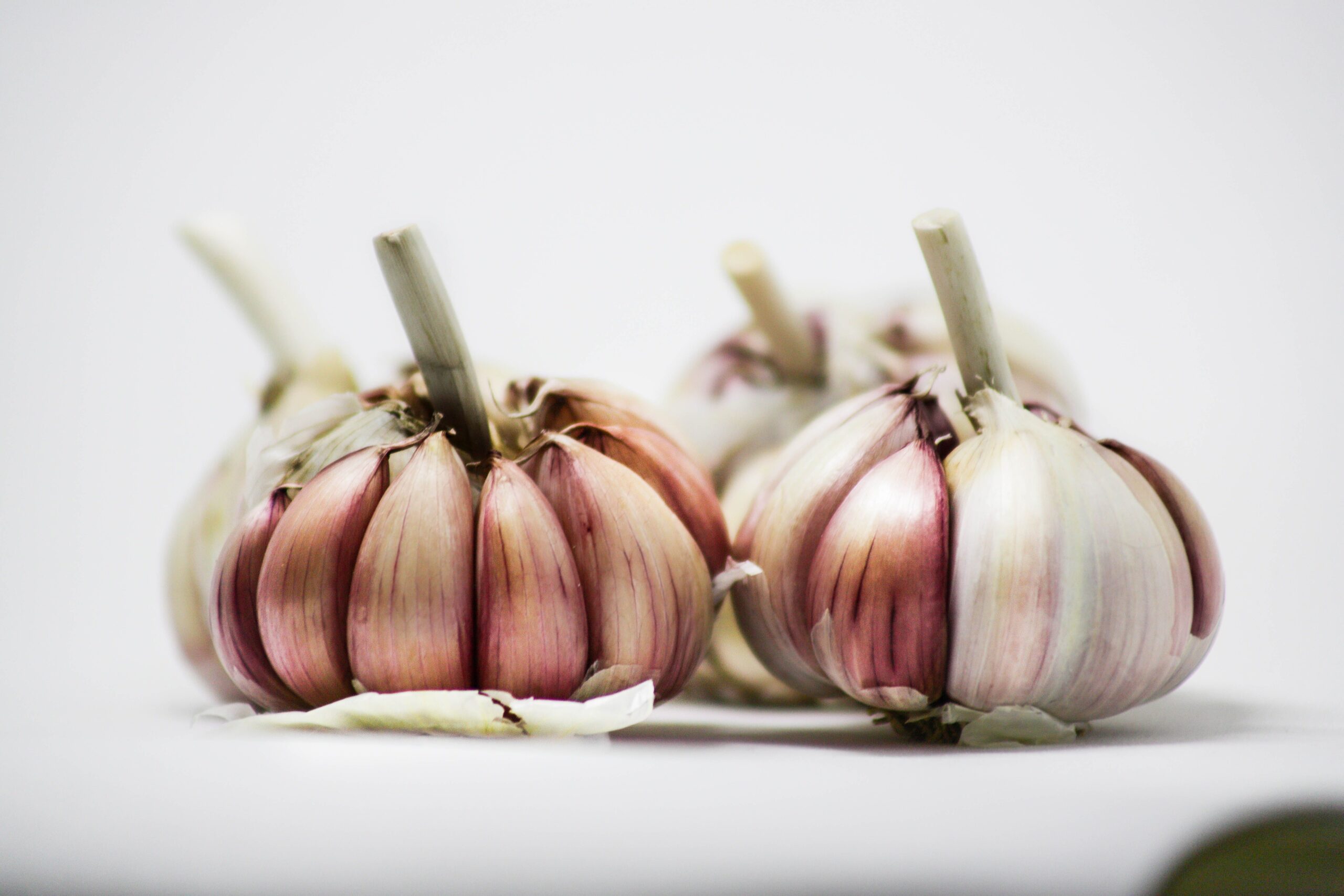 Several heads of garlic with white background