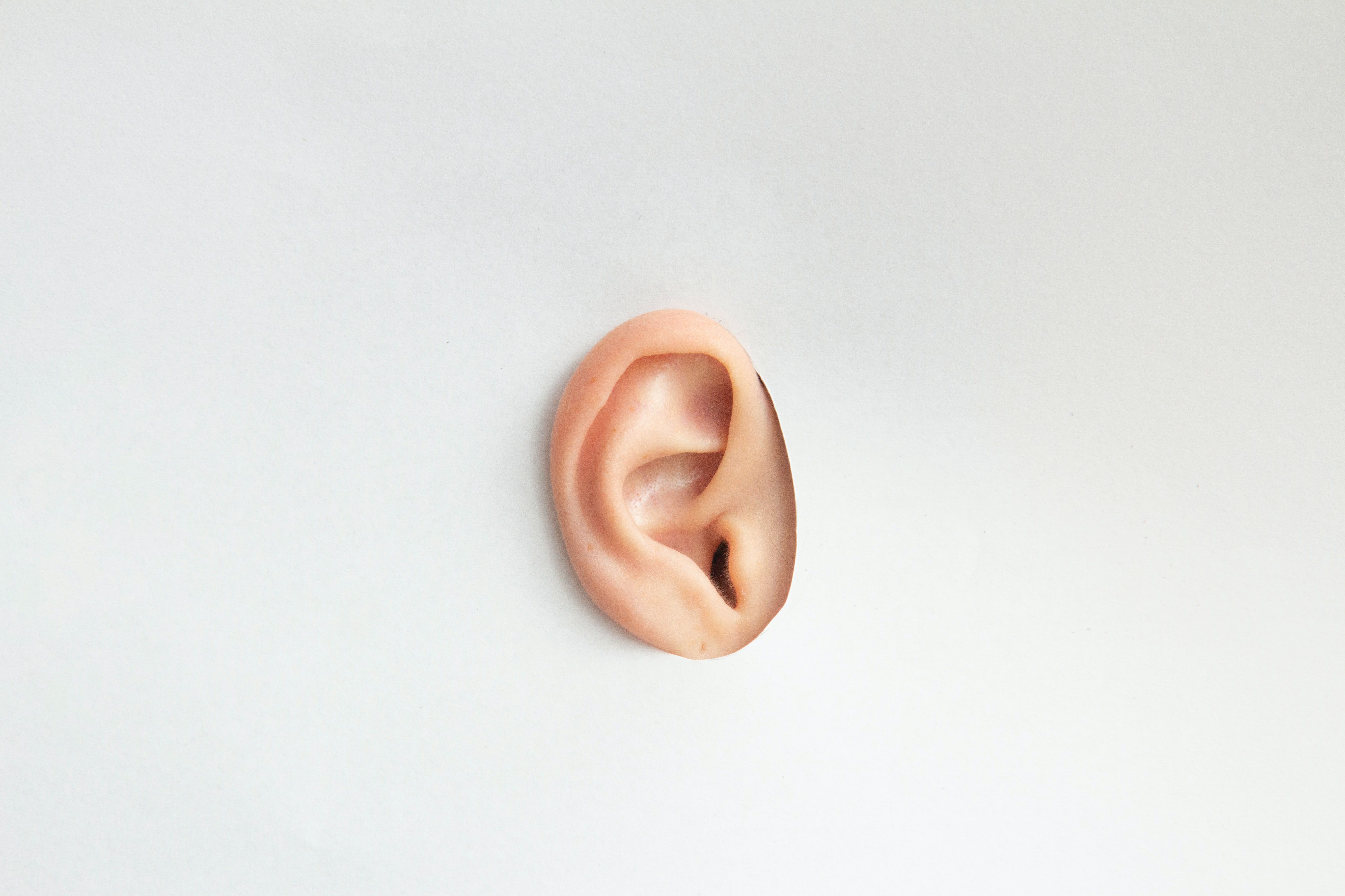 white cardboard cutout with human ear in center