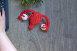 crocheted female reproductive system on wooden background 