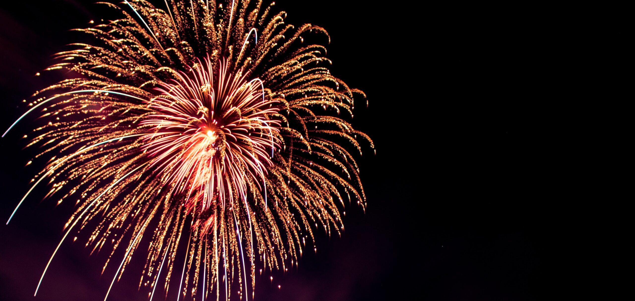 firework in night sky
