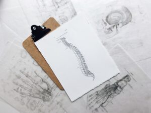 Clipboard with black and white picture of human spine on top. 