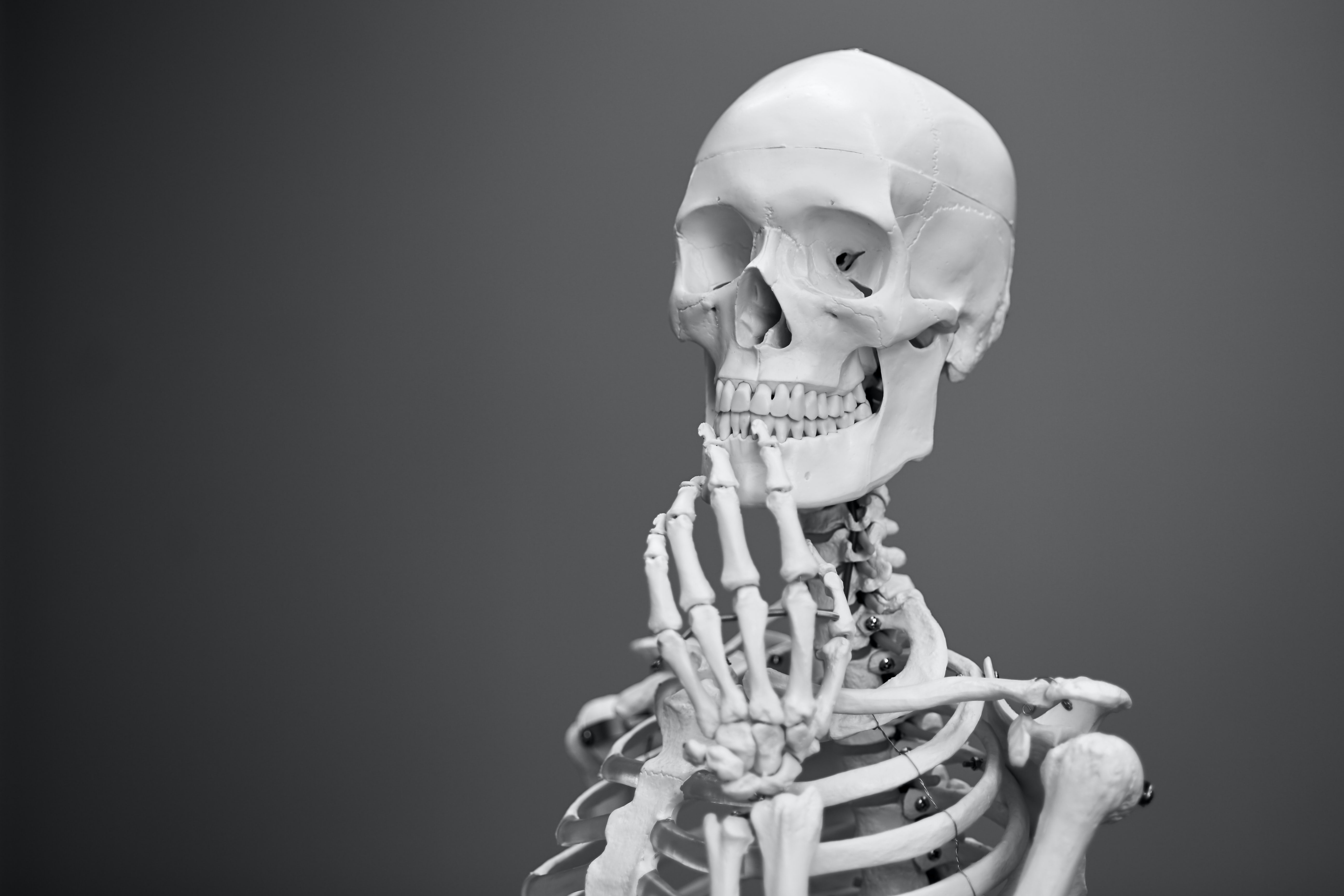joint pain skeleton