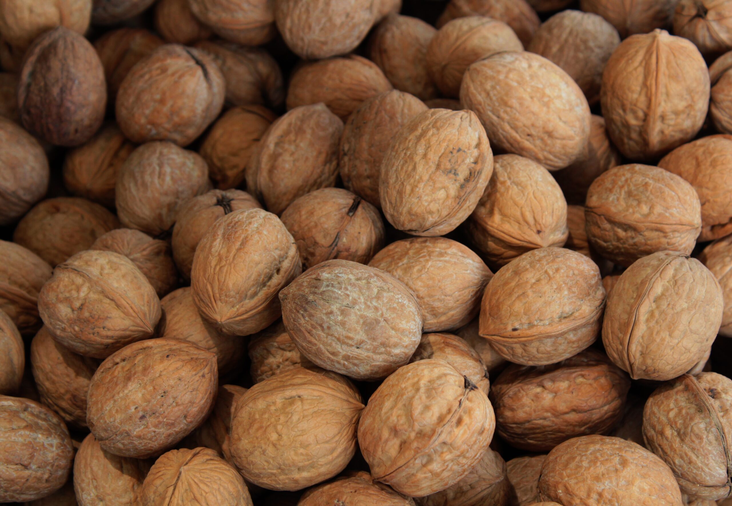 Walnuts