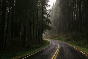 Damp Road 