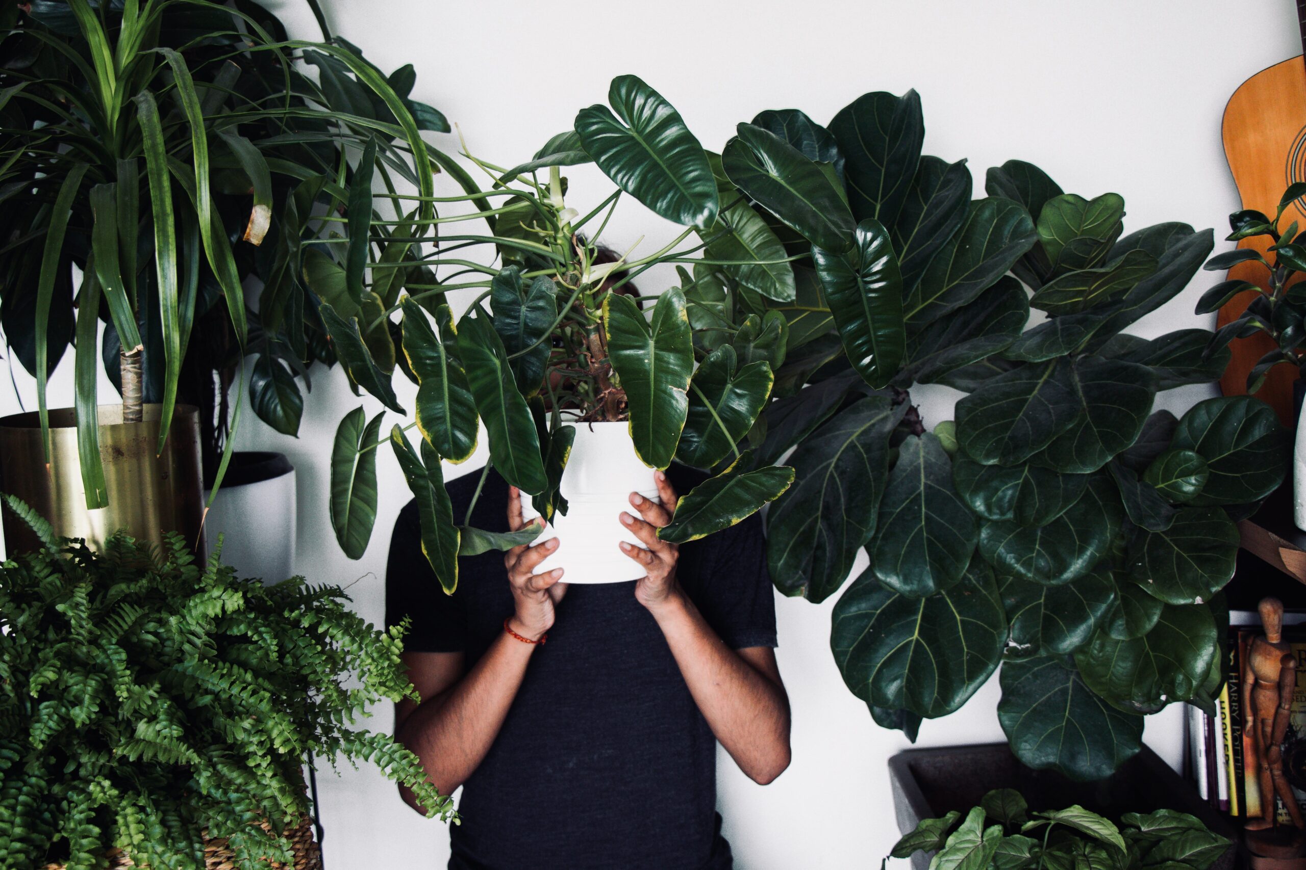 nature and wellness: person holding potted plant inside
