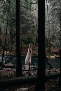 earthing